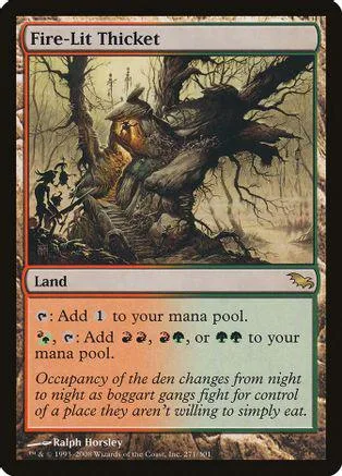 Fantasy landscape art on a Magic: The Gathering land card.