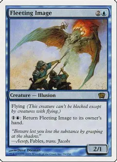 Fleeting Image #79