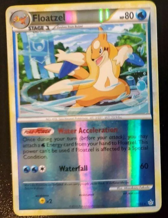 Floatzel Pokémon card, orange and blue, showing a swimming creature.