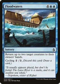 Floodwaters [Foil]