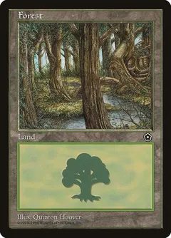 Forest #164
