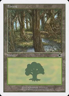 Forest #171