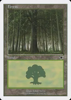 Forest #172