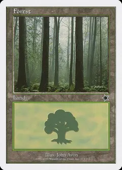 Forest #173