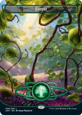 Green forest scene on a card with "Forest" text at the top.