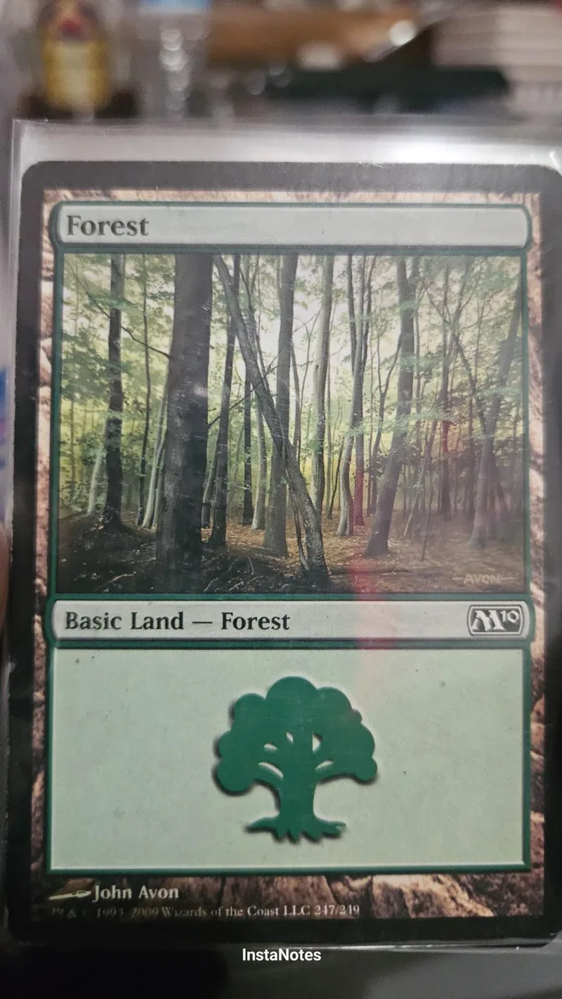 Magic: The Gathering Forest land card, green forest scene, in protective sleeve.