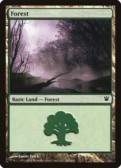 Forest #262