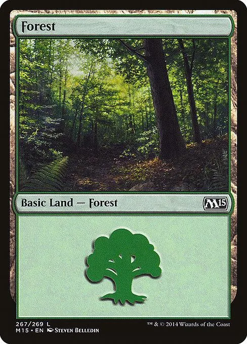 Green forest landscape card with "Forest" text and a green tree symbol.