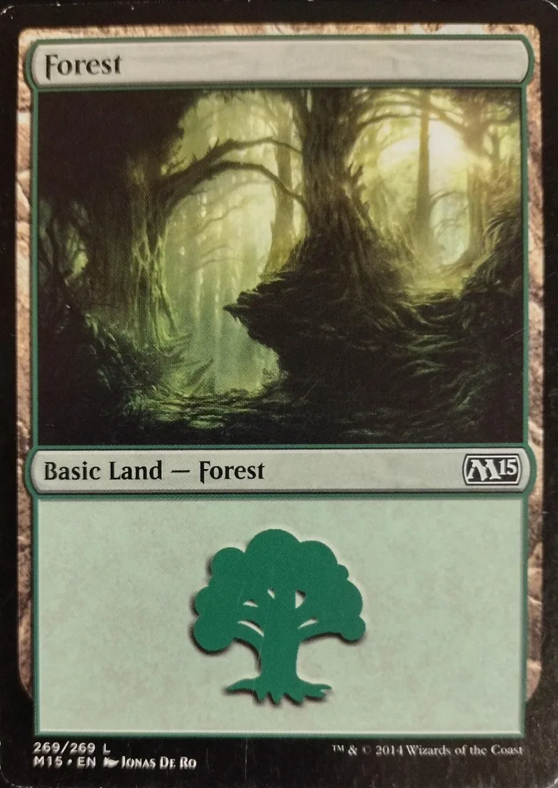 Forest basic land card art shows a sunlit, dense forest scene.