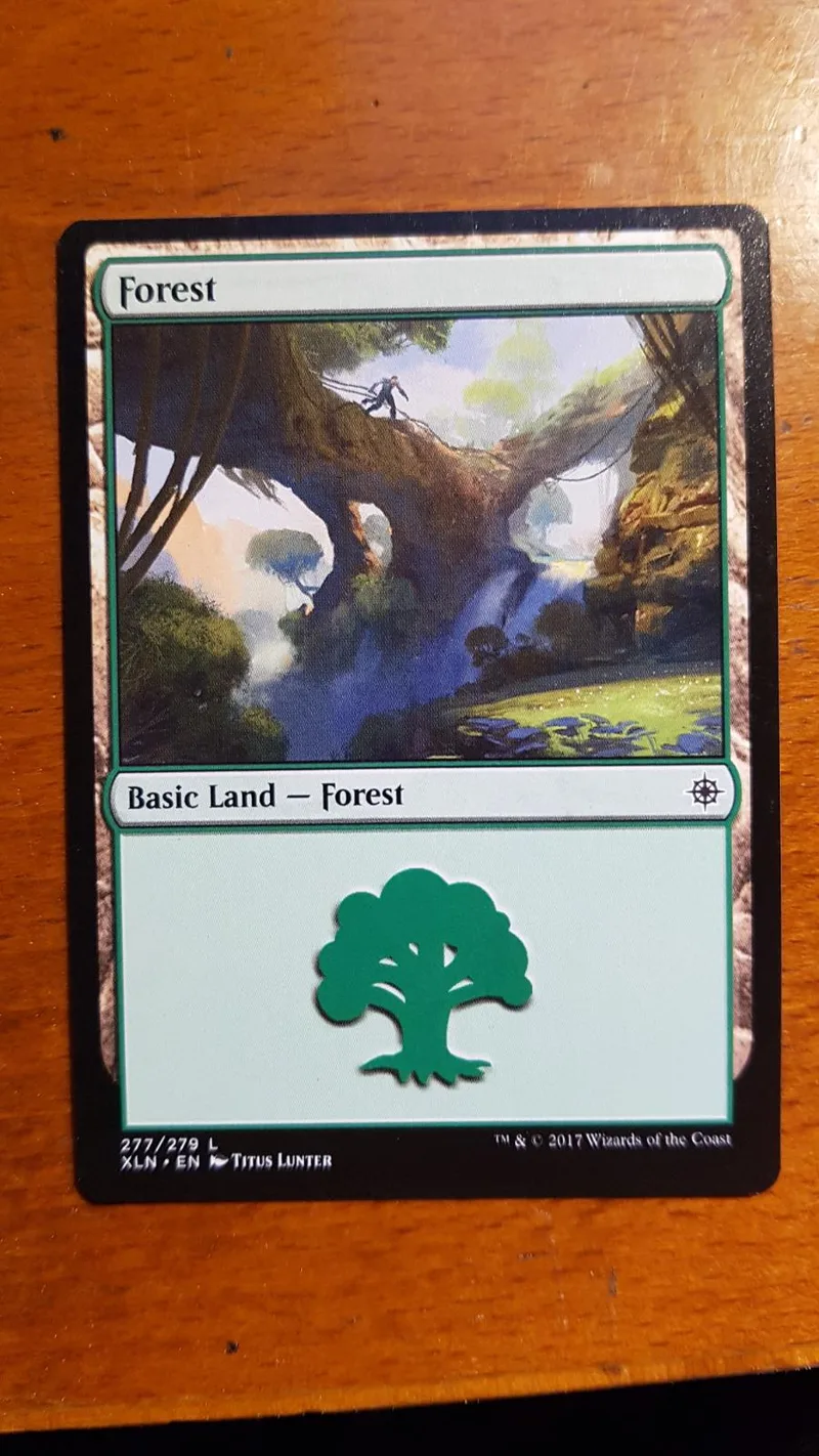 Magic: The Gathering Forest basic land card, green tree symbol, good condition.