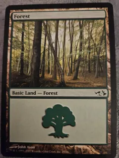 Forest #29