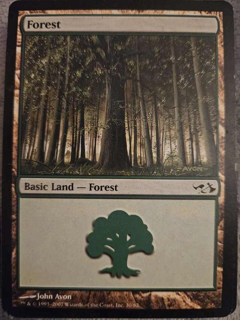 Magic: The Gathering Forest land card, dark forest art, green tree symbol.