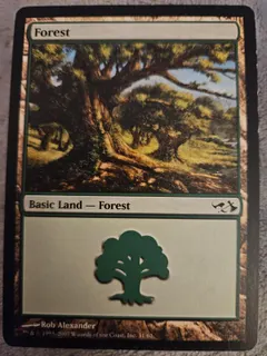 Forest #31