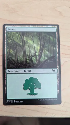 Forest #339