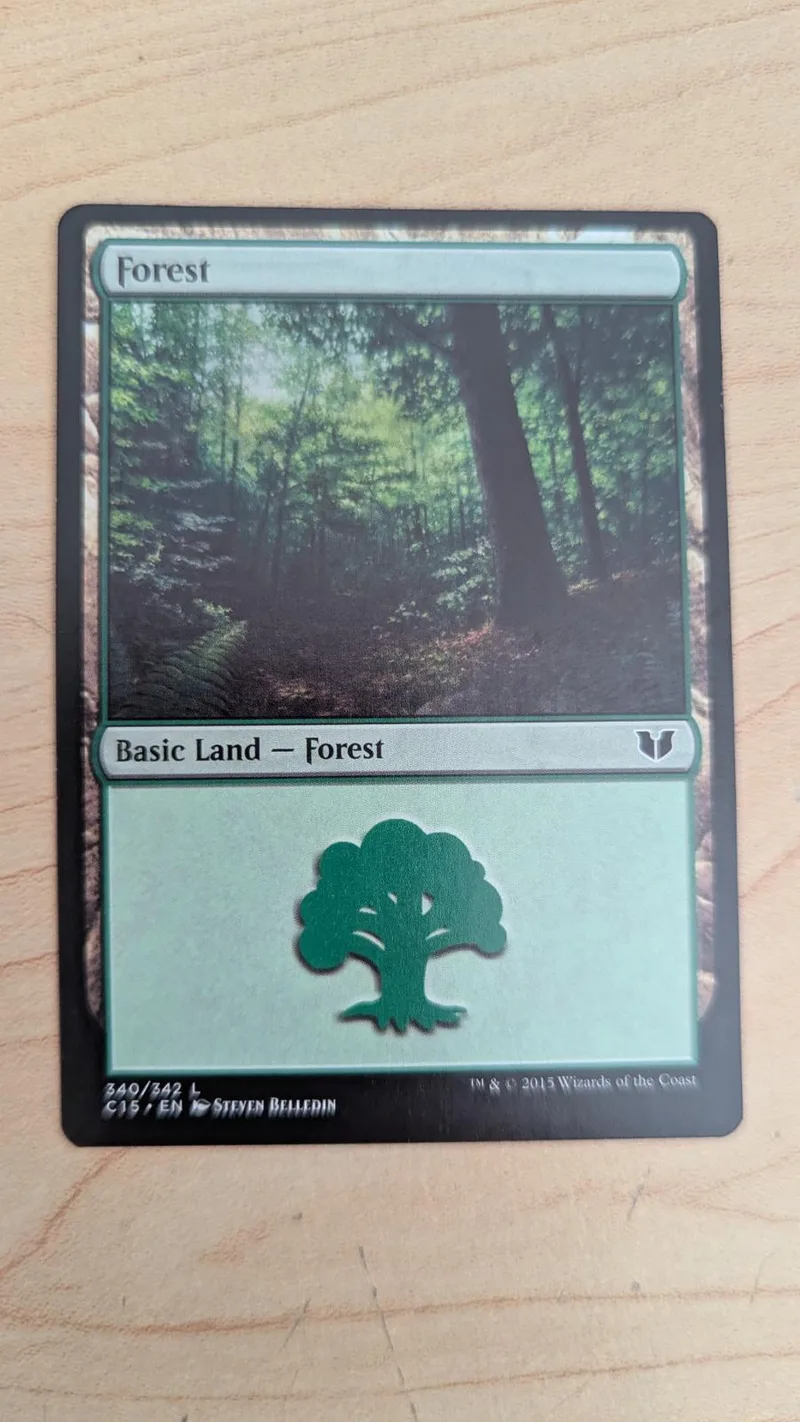 Forest basic land card featuring a green forest scene and tree symbol.