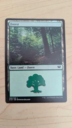 Forest #340