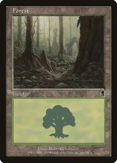 Forest #348