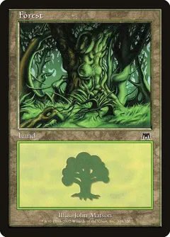Forest #348