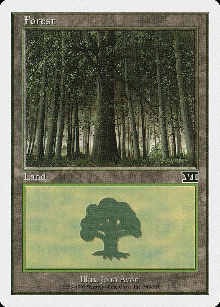 Forest land card art showing a dense, green forest scene.