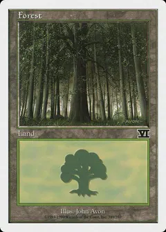 Forest #349