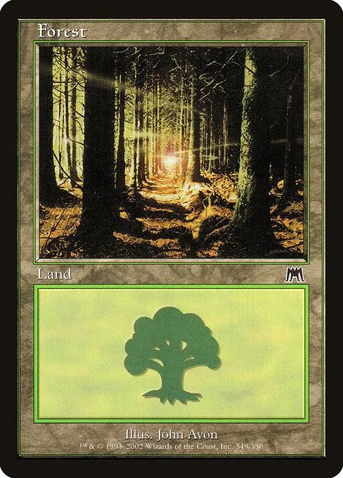 Forest land card art showing sunlit path through dark woods.