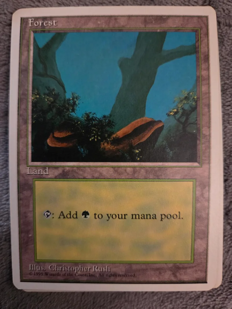 Forest land card art showing dark trees and mossy ground.