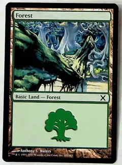 Forest #380