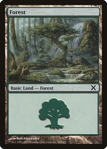 Green forest landscape art on a Magic: The Gathering Basic Land card.