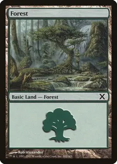 Forest #382