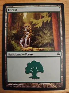 Forest #43