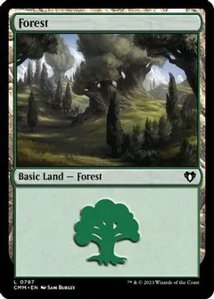 Forest #797