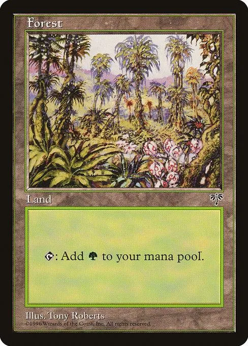 Green forest landscape on a Magic: The Gathering land card.