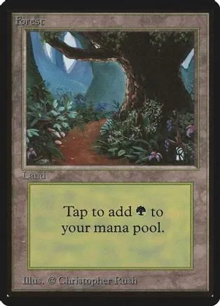 Forest land card art: dark tree, winding path, blue sky.