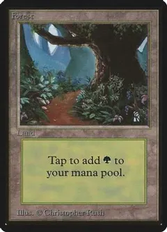 Forest [B]