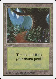 Forest [B]