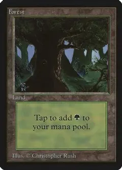 Forest [C]