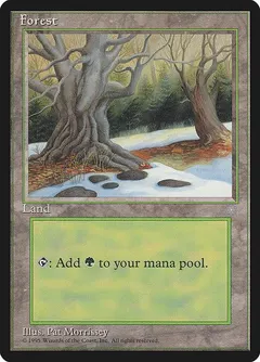 Forest [C]