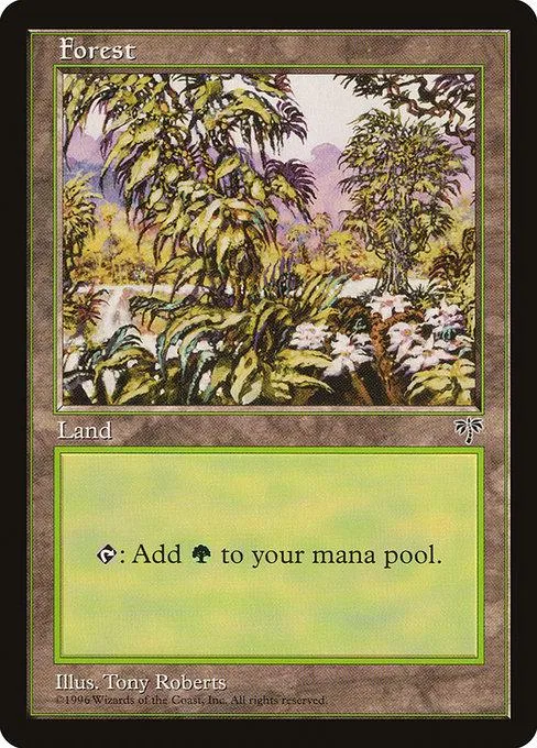 Green forest landscape on a Magic: The Gathering land card.