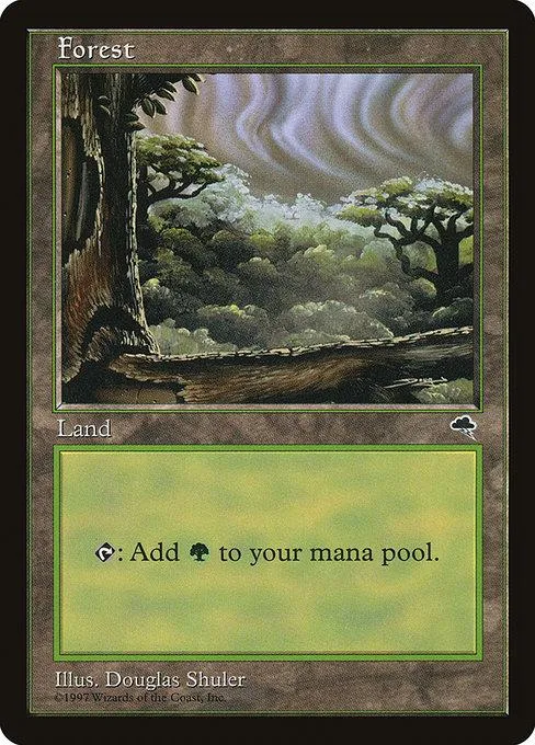 Forest land card art showing dense green forest with large tree trunk.