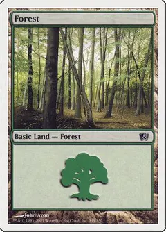 Forest