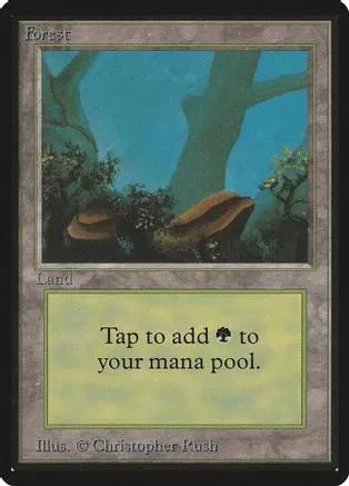 Forest land card art showing trees and foliage in blue-green tones.