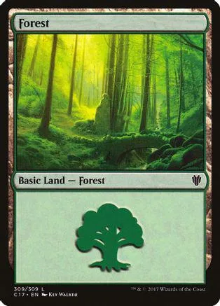 Green forest landscape art on a Magic: The Gathering Basic Land card.