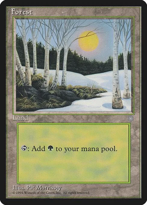 Forest land card art showing a snowy forest with a yellow sun.