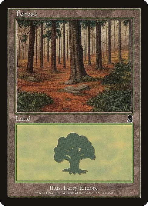 Forest land card art showing a dense, sunlit forest scene.