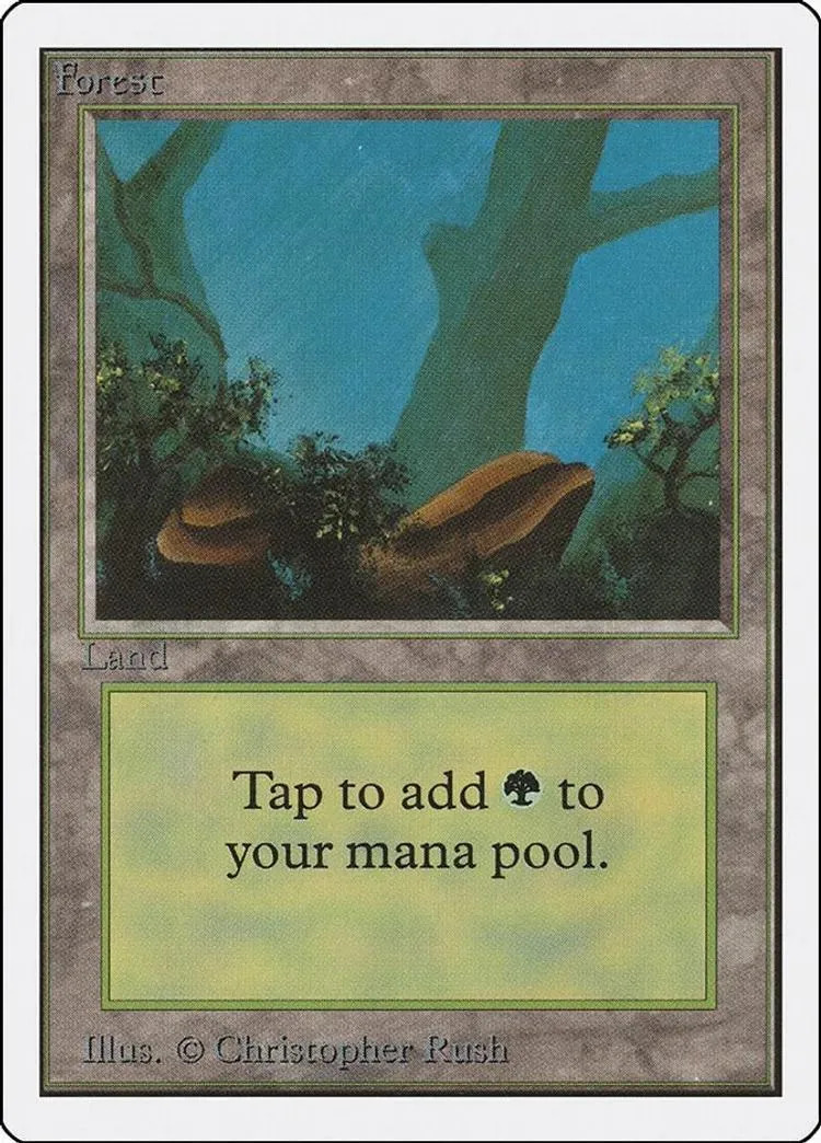 Forest land card art showing trees and brown mushrooms in a blue-green forest.