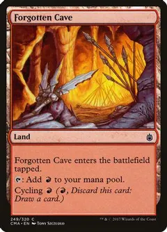 Forgotten Cave #249
