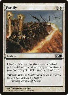 Fortify #19