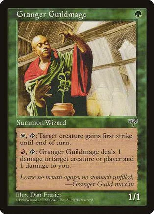 Wizard in green and red robes stands under thatched roof, card art.