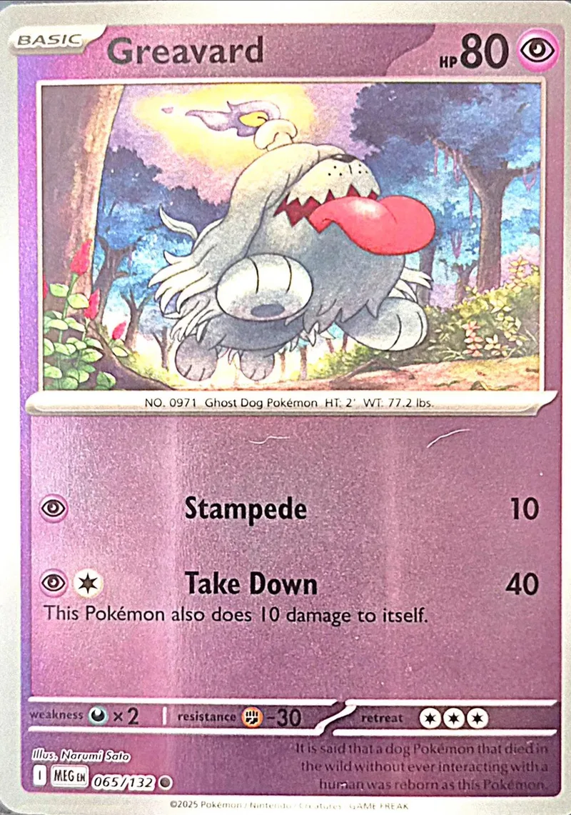 Ghost Dog Pokémon card, gray creature in a forest setting, HP 80.