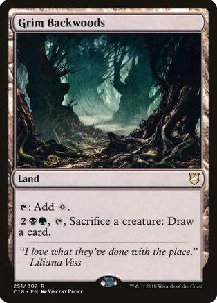 Dark forest landscape on a Magic: The Gathering card. Land type.